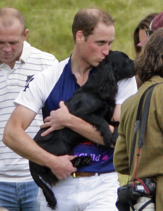 Prince William gave his pup, Lupo, a kiss after a polo match in Tetbury, England, in June 2012.