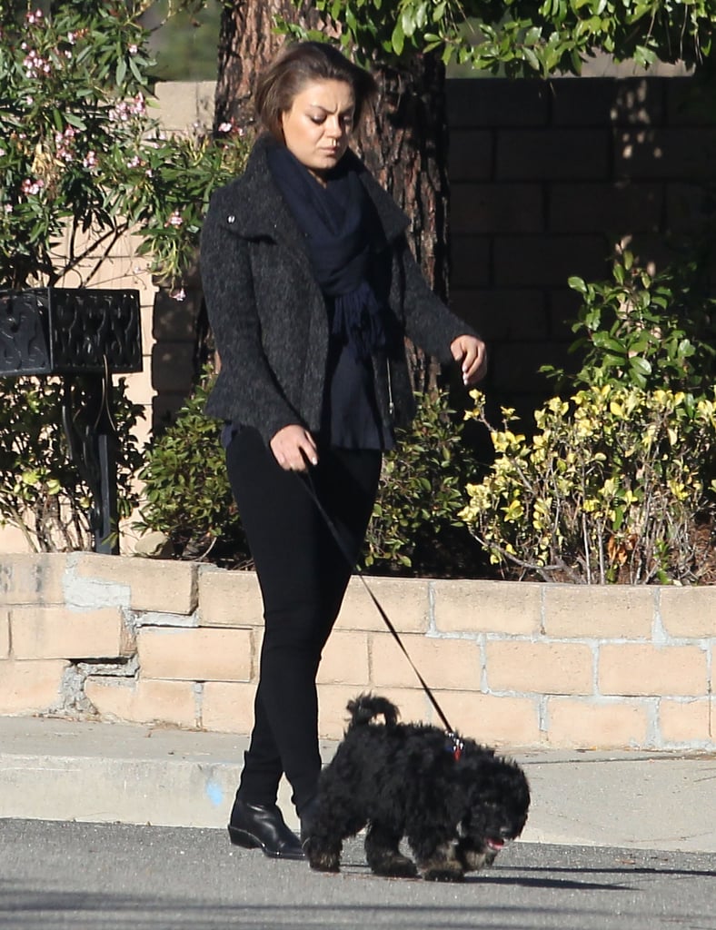 Ashton Kutcher and Mila Kunis Walking Their Dogs