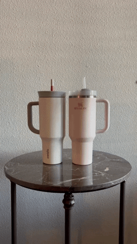 The Best 40 oz Tumbler With a Handle vs The Stanley Tumbler – Owala