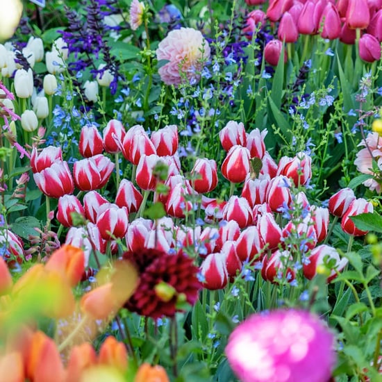 This Melbourne Festival Is a Feast for the Senses