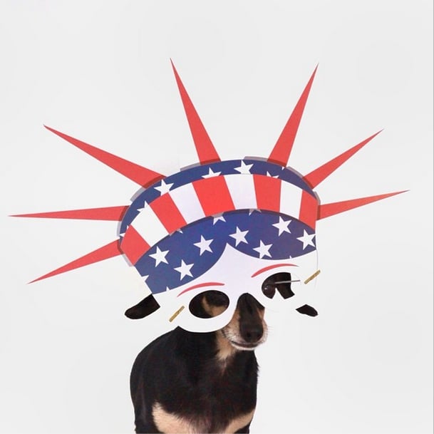 Ladybug the Doxiehuahua makes being a USA fan look superfierce.
Source: Instagram user ladybug_the_doxie