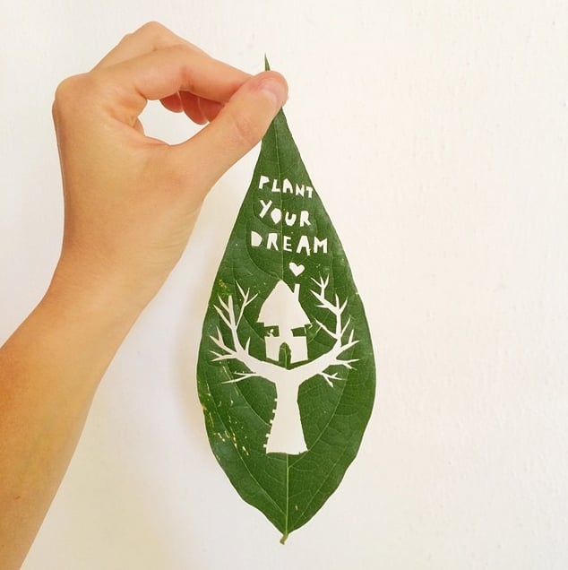 Leaf Cutouts