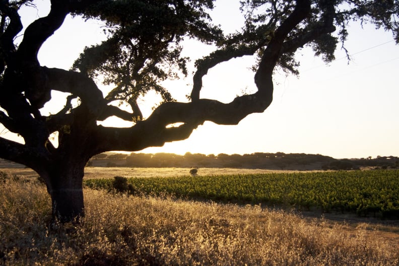 Alentejo, Portugal