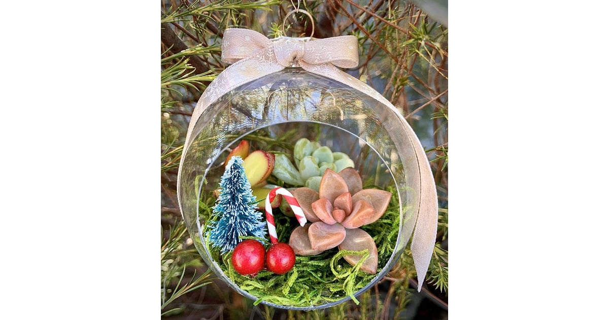 Etsy's ChristmasThemed Succulent Terrarium Ornaments Shop Etsy's