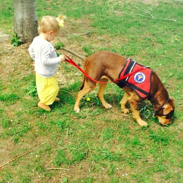 Gisele Bundchen's daughter, Vivian Brady, took a walk with her rescue dog in training.
Source: Instagram user giseleofficial