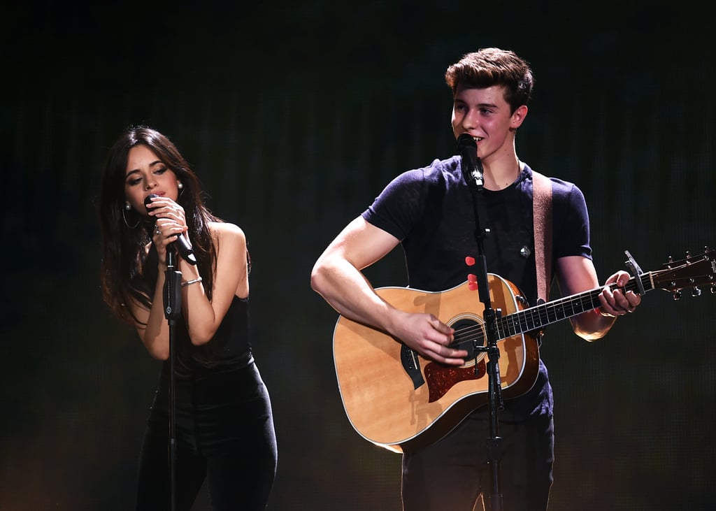 Camila Cabello and Shawn Mendes's Cutest Pictures