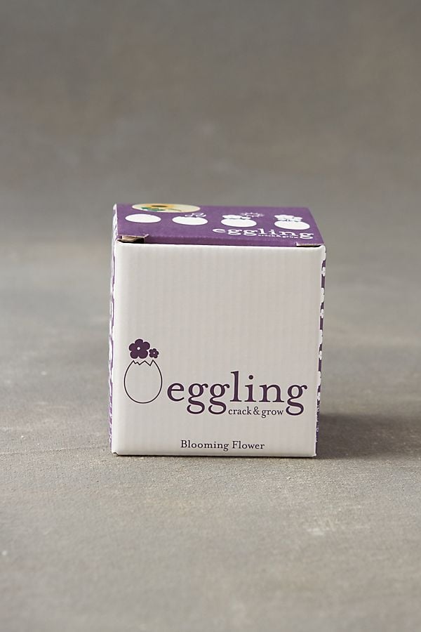 Eggling Grow Kit