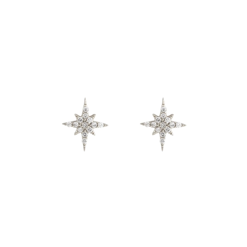 A Similar Pair to Pink's Earrings