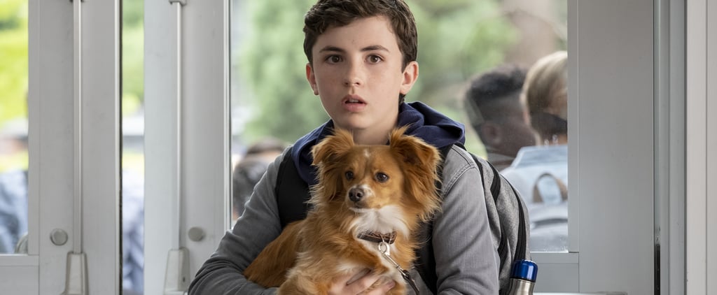 Netflix The Healing Powers of Dude Trailer