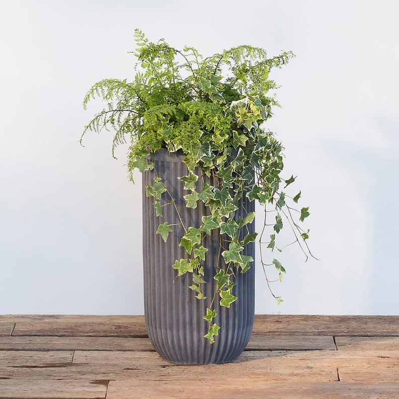 Fiber Concrete Tall Barrel Pot