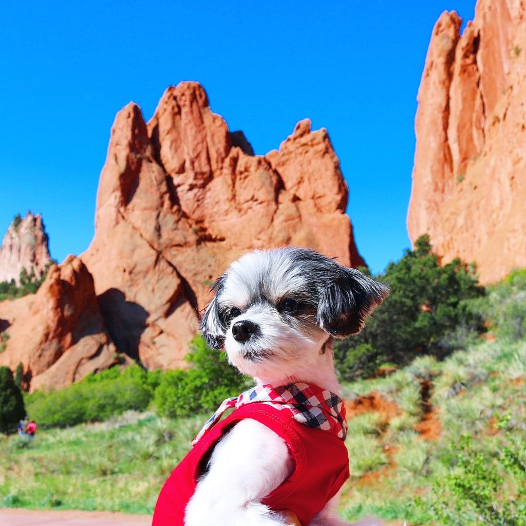 Then I went to visit the famous The Garden of the Gods and it was really magical with fierce views! Perfect for a model like me!