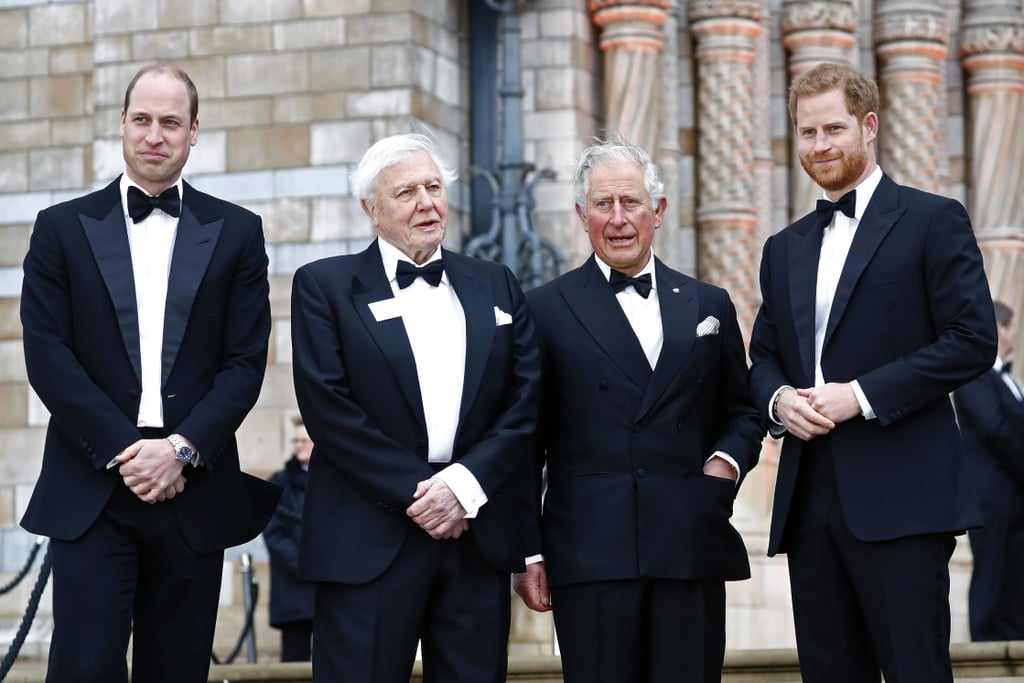 Harry, William, and Charles at Our Planet Premiere 2019