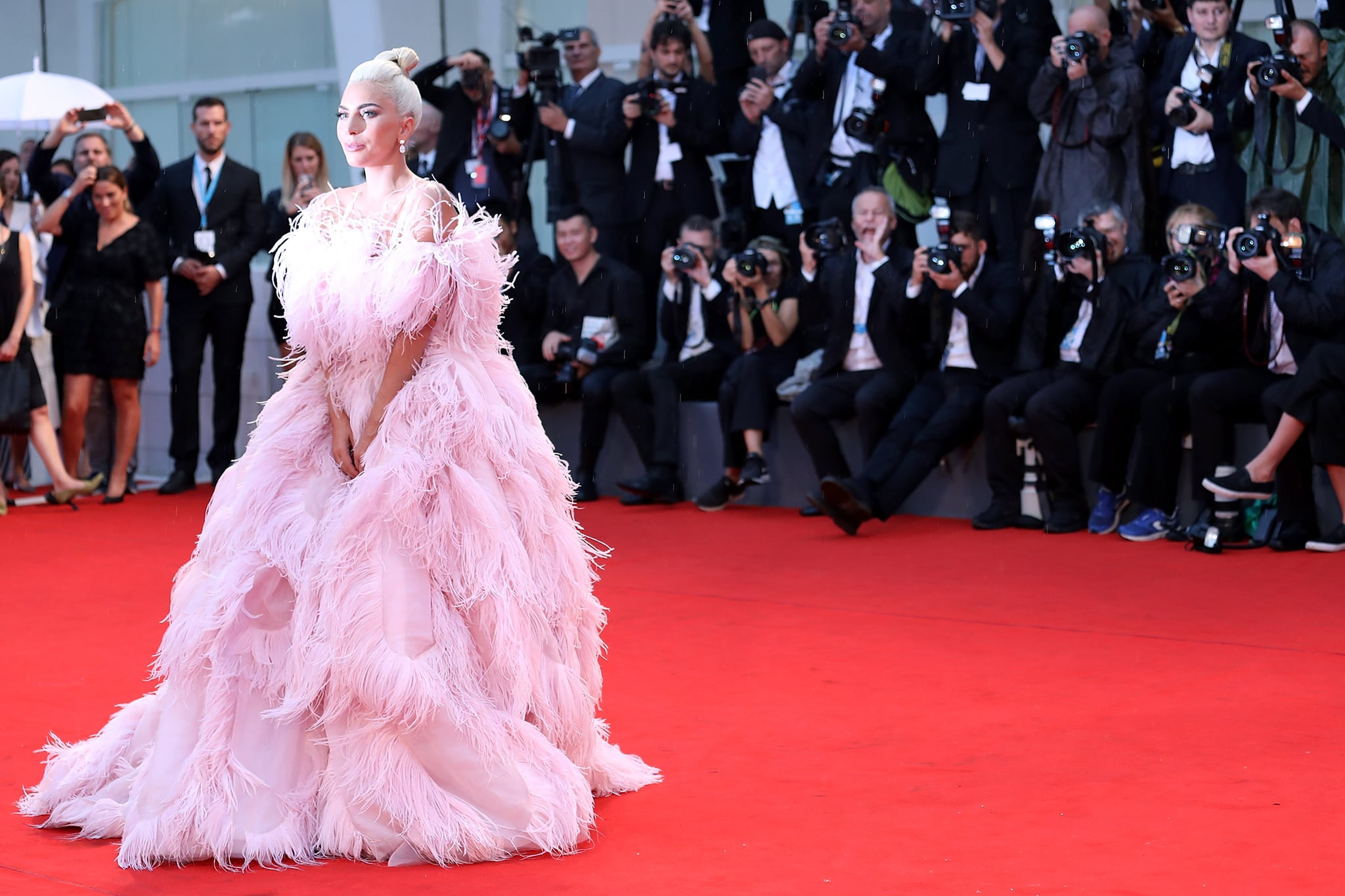 Lady gaga cheap cannes dress