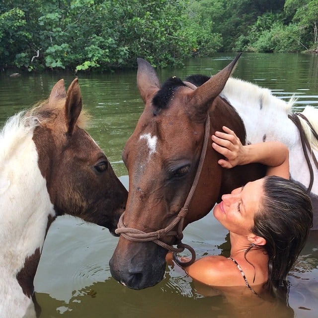 "Baby horse and his mommy," Gisele captioned this beautiful picture.
Source: Instagram user giseleofficial