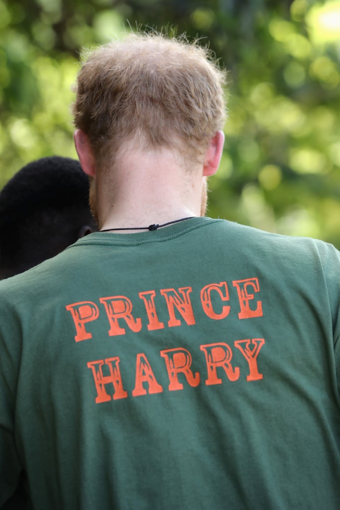 Prince Harry at Nature Fun Ranch in Barbados December 2016