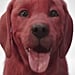 Clifford the Big Red Dog Live-Action Movie Teaser