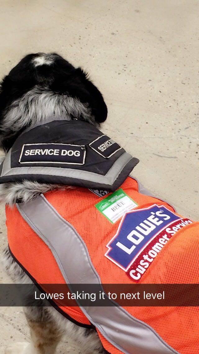 Lowe's Hires Man and Service Dog POPSUGAR Pets