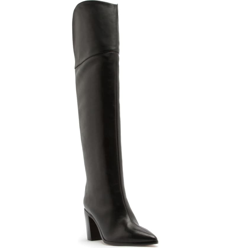 Schutz Anaisha Pointed Toe Over-the-Knee Boots