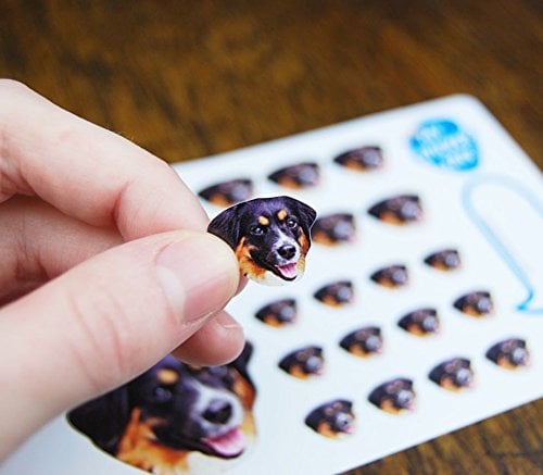 Custom Photo Stickers