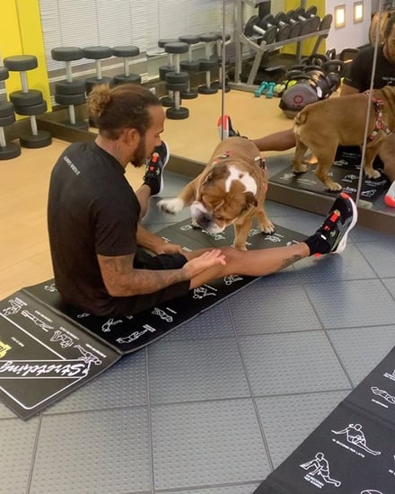 Watch Lewis Hamilton Work Out With His Dog on Instagram