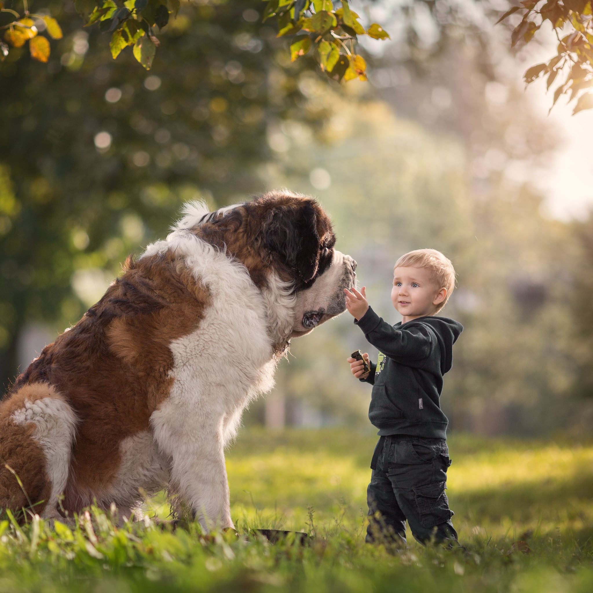 st bernard with kids