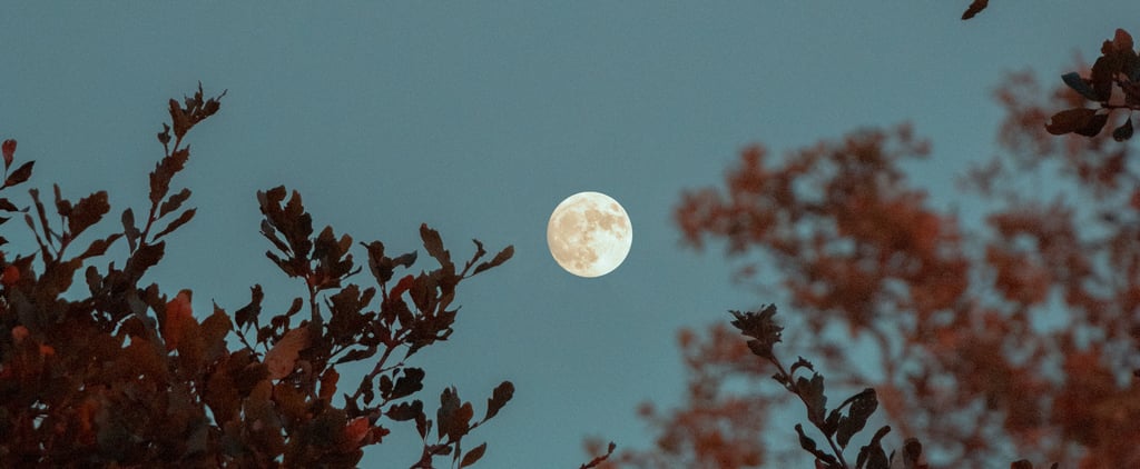 A Spiritual Limpia For This Full Moon in Taurus