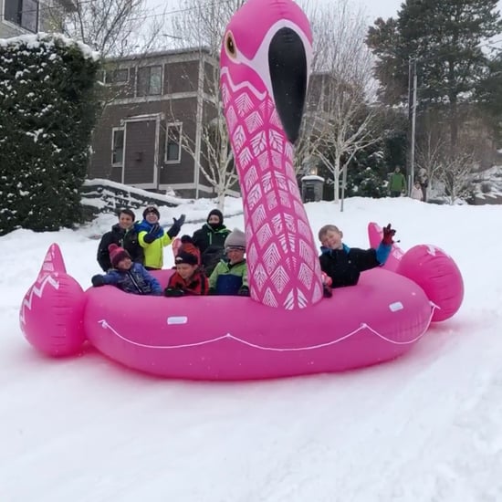 Kids Snow Sledding in Flamingo Pool Float Video