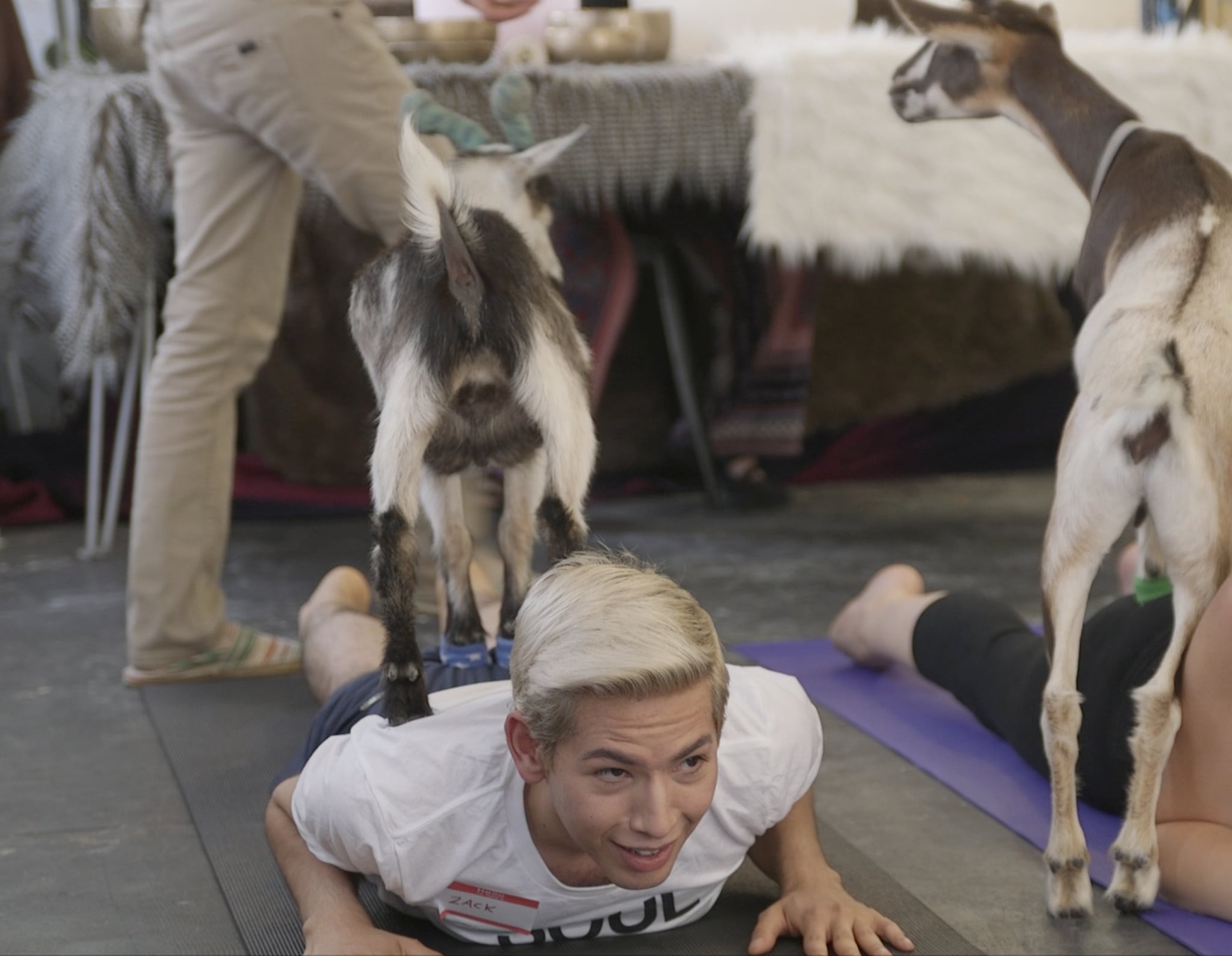 Goat Yoga Class