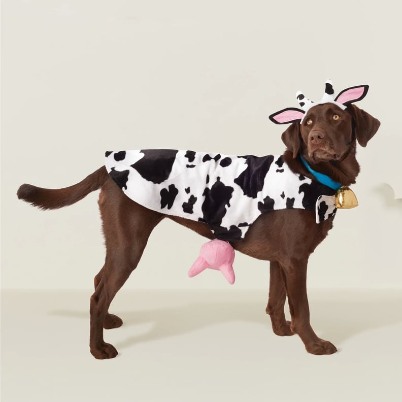Cow Dog Costume
