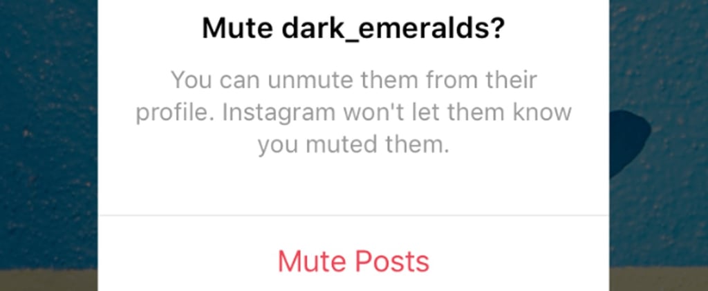 How to Mute Someone on Instagram