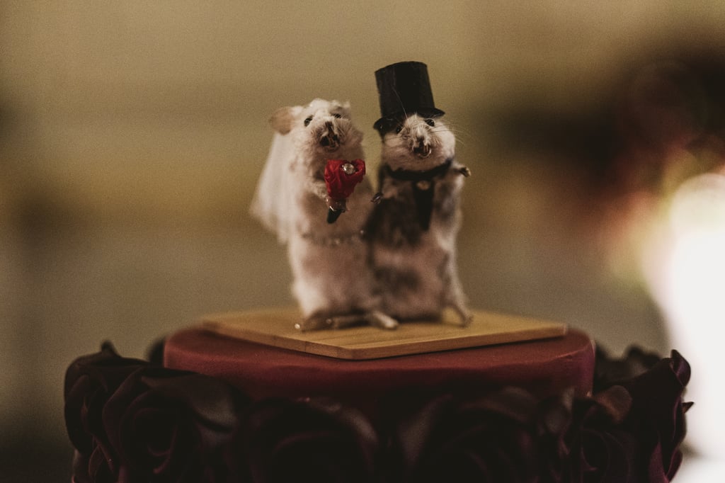 Unusual and Fun Wedding