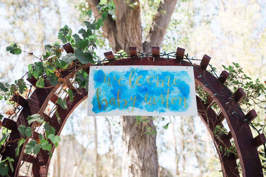Blue Watercolor Baby Shower