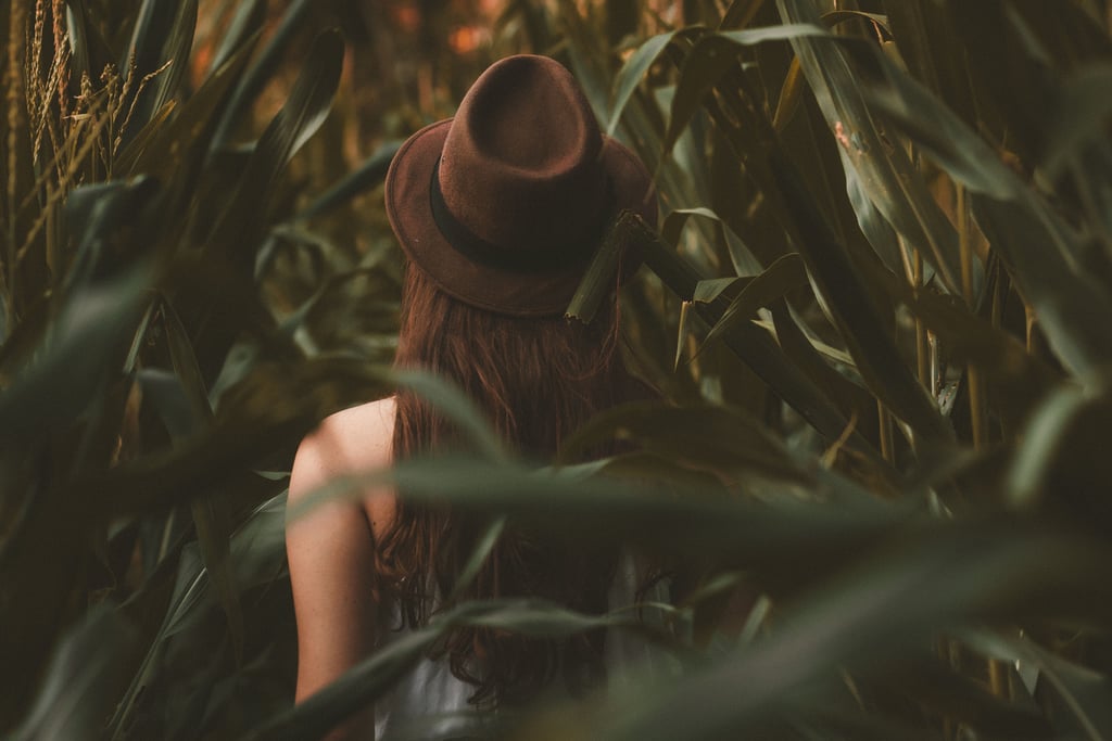 Get Lost in a Corn Maze