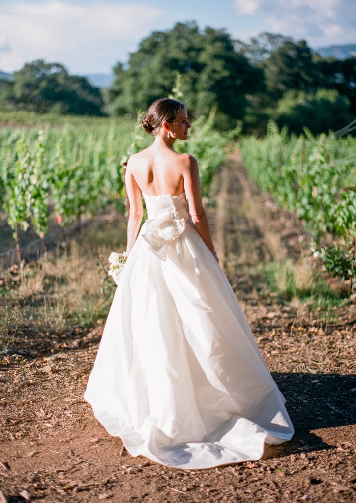 In the Vineyards