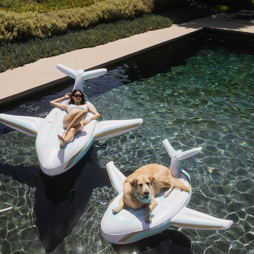 Funboy x Bark Private Jet Dog Float