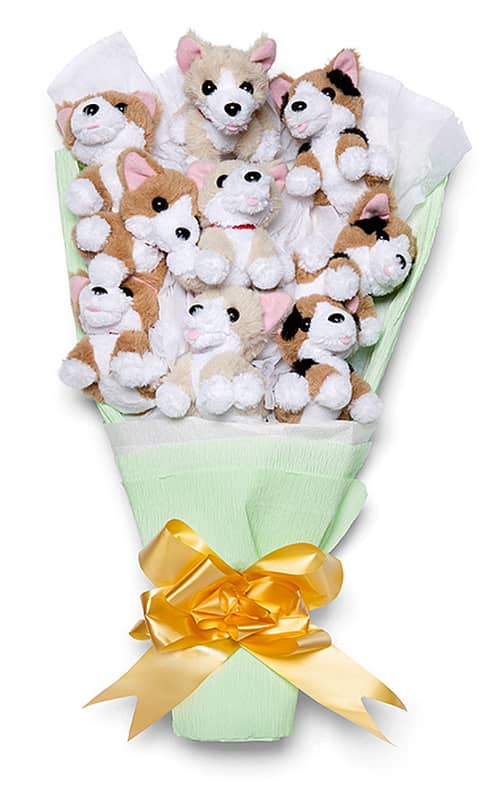 Plush kitten bouquet hotsell