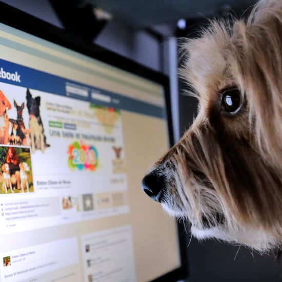 Facebook Overestimated Video Views