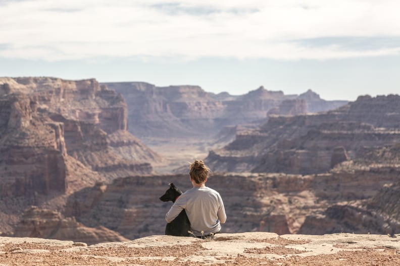 Pet Travel