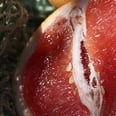 Are Vaginas a Legit Source of Protein?