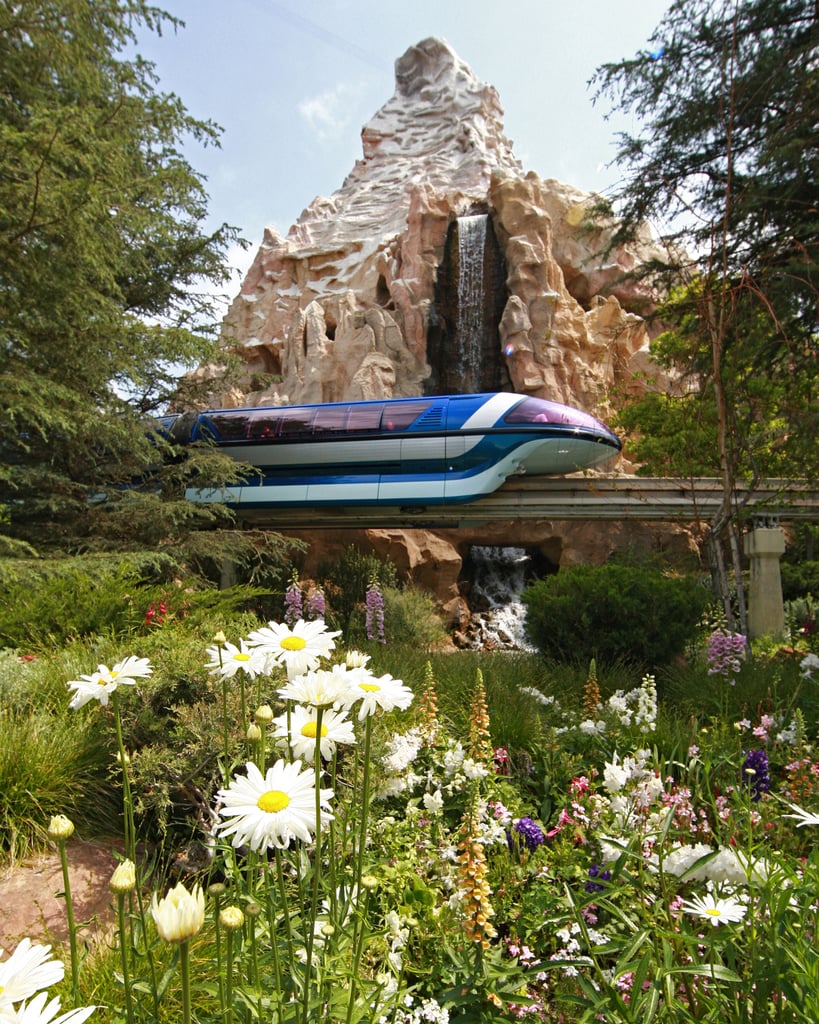 Ride In The Front Of The Monorail