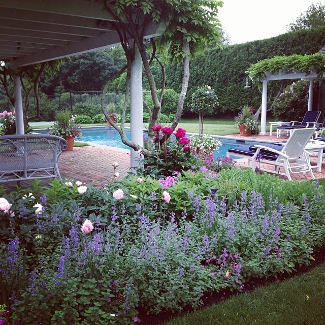 Katie's colorful backyard provided the backdrop for her special day. 
Source: Instagram user katiecouric