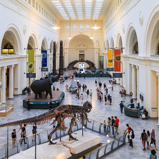 Group Wants to Take Dinosaurs Out of School Curriculum