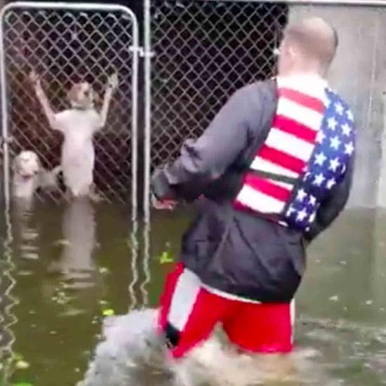 Man Rescues Dogs From Cages After Hurricane Florence
