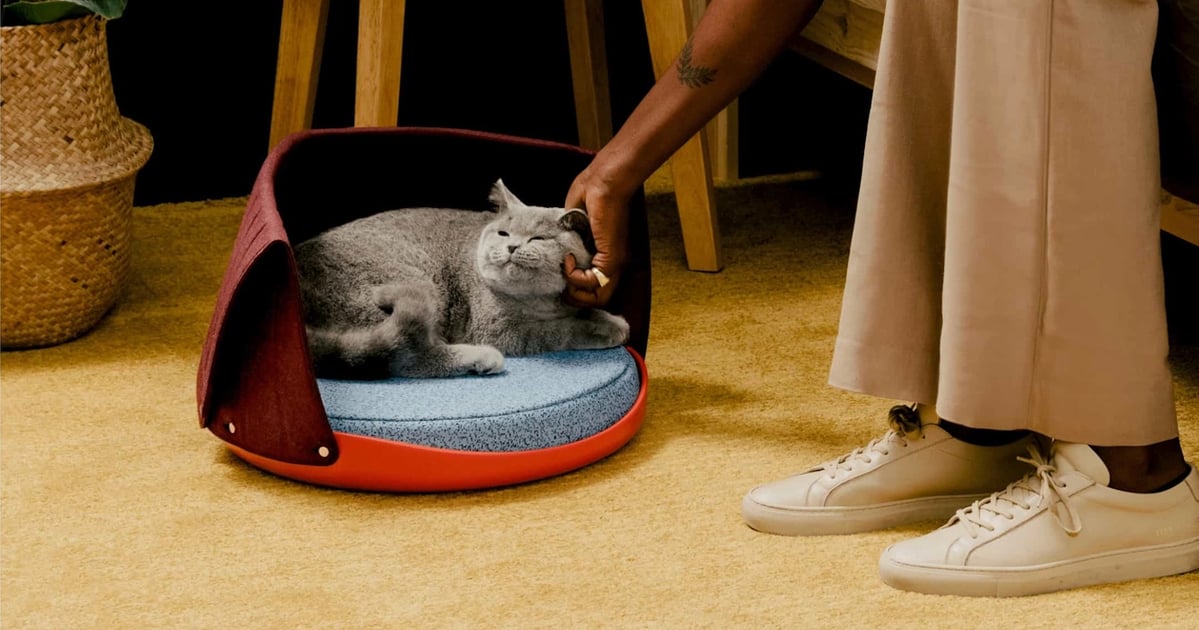 Gifts For New Cat Owners 2020 POPSUGAR Pets