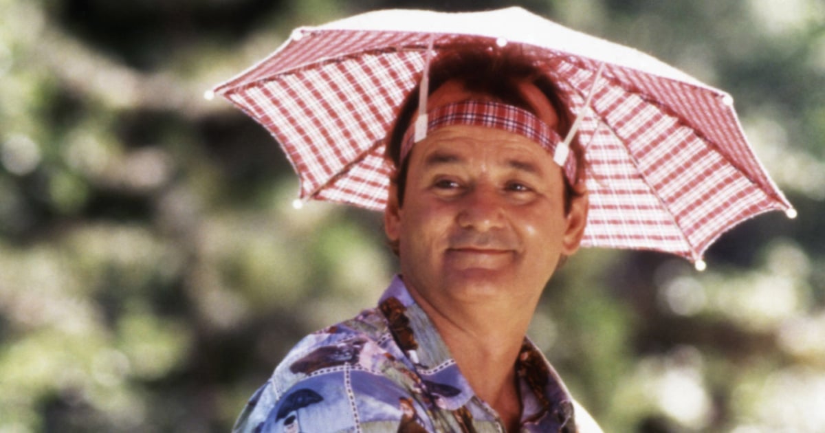 Bill Murray Movie GIFs POPSUGAR Entertainment