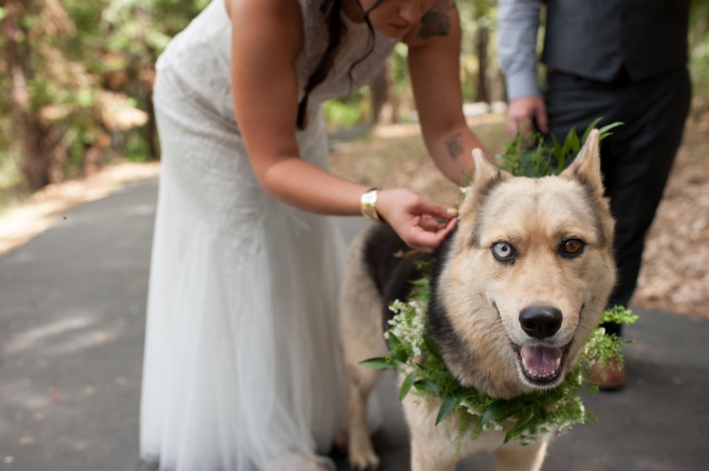 California Forest Wedding