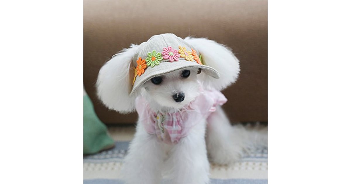 Small Pet Hat Sun Visor Best Summer Dog Products POPSUGAR UK