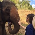 I Checked Thailand Off My Bucket List — and Learned the Value of Taking Risks