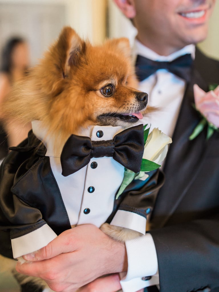 Dogs in Weddings