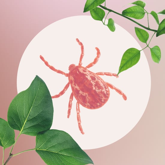 What Is Chronic Lyme?